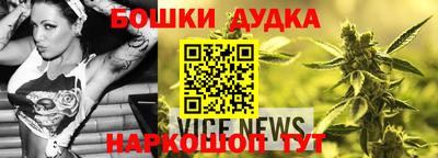 крисы Новозыбков