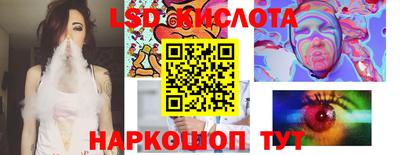 крисы Новозыбков