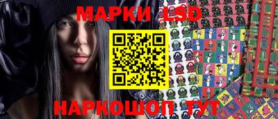 крисы Новозыбков