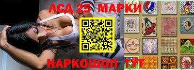 скорость Новокубанск
