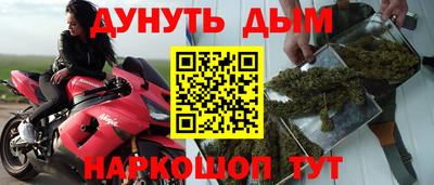 крисы Новозыбков