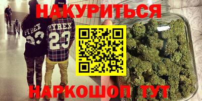крисы Новозыбков