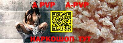 крисы Новозыбков