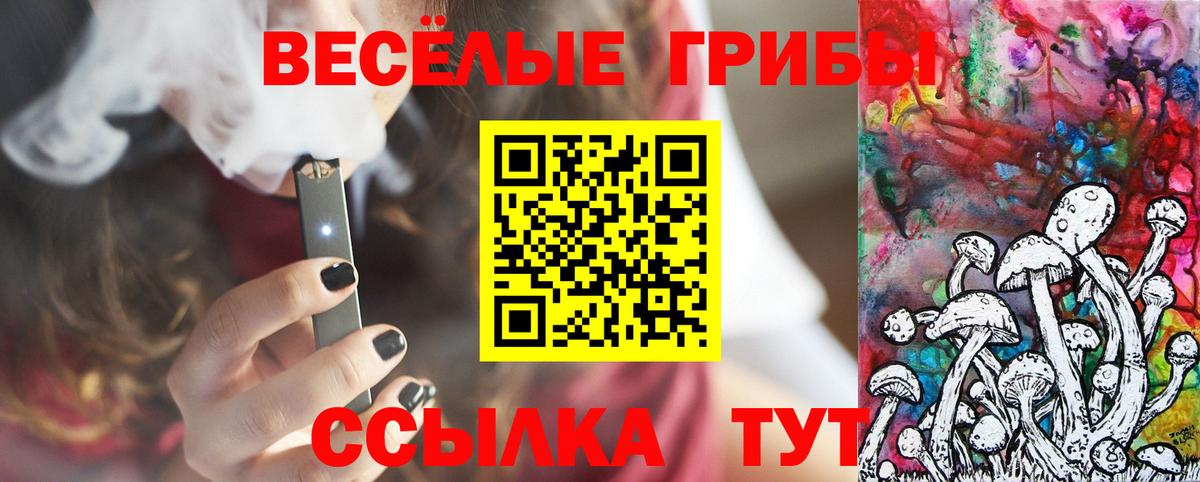 Биробиджан  Псилоцибиновые грибы ЛСД  Вход с VPN 