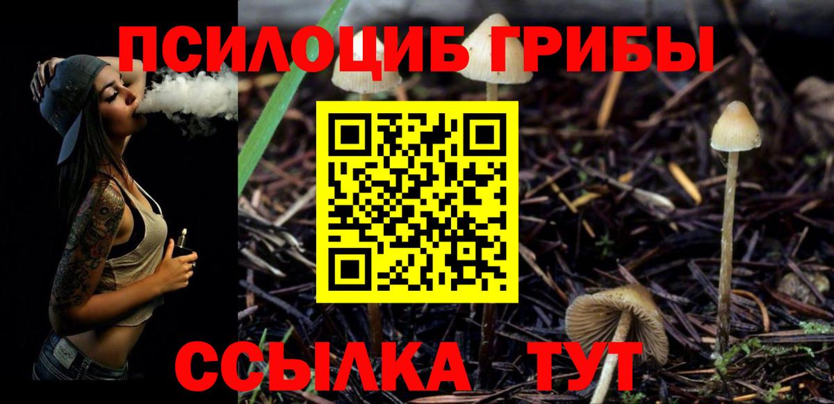 Галлюциногенные грибы мухоморы Биробиджан